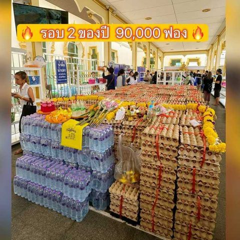 ถาดไข่ต้มพร้อมจัดส่ง ชุดที่ 3