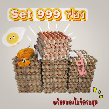 ถาดไข่ต้มพร้อมจัดส่ง ชุดที่ 1